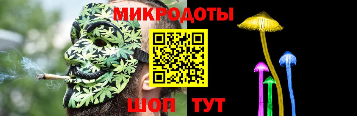 Псилоцибиновые грибы Psilocybine cubensis Туймазы
